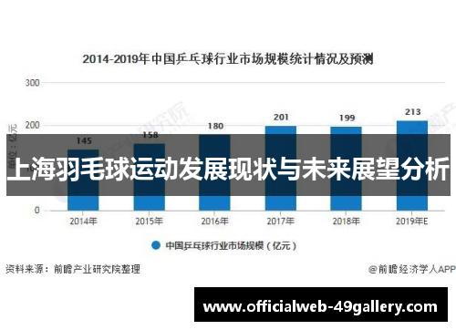 上海羽毛球运动发展现状与未来展望分析